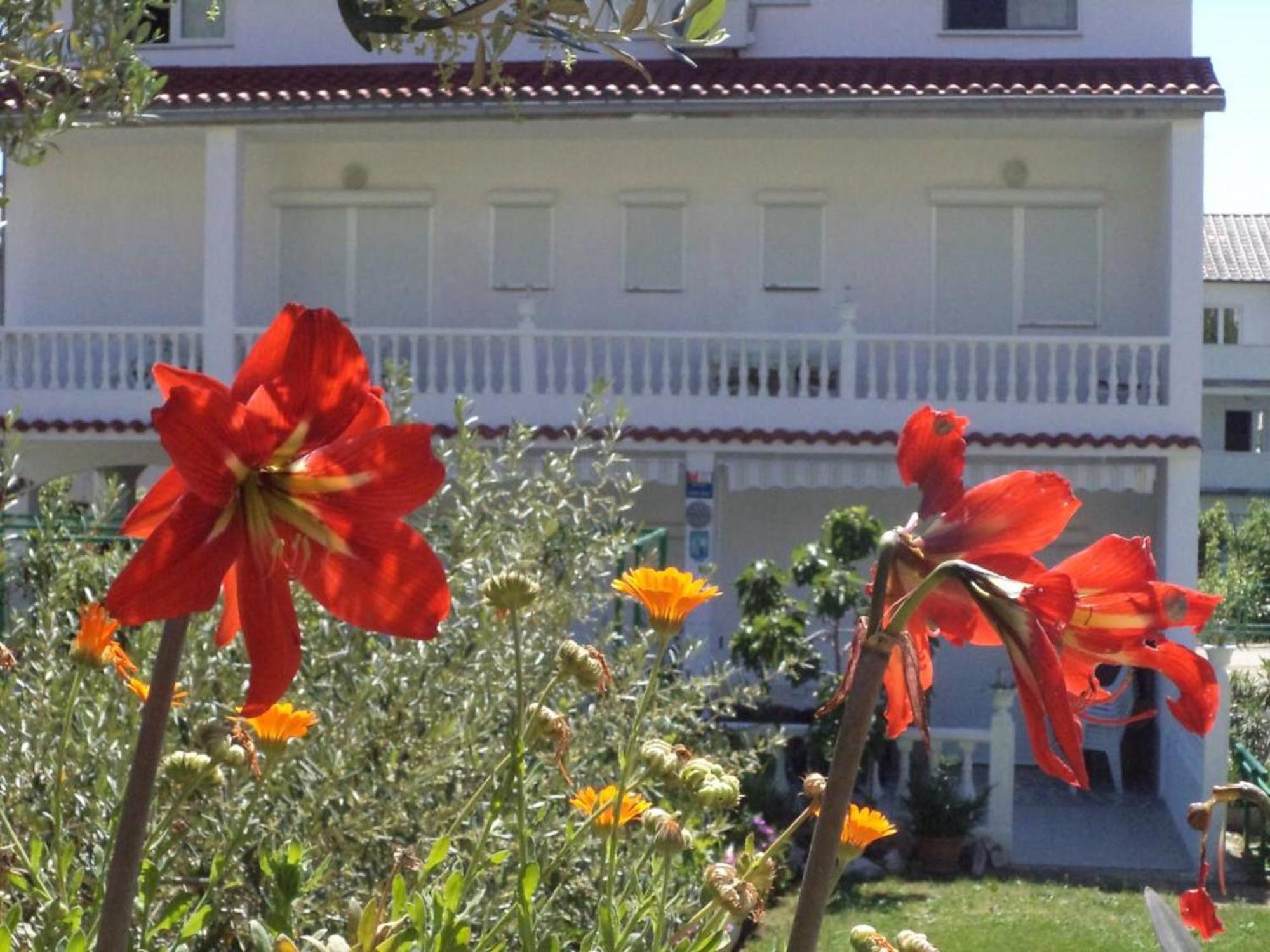 Lovely Meta Apartments Palit Exterior foto